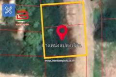 ที่ดินเปล่า ชุมชนบ้านหนองตาพด เนื้อที่ 118 ตรว. ถนนนราธิป อ.ชะอำ จ.เพชรบุรี-202512121739091765535949179.jpg