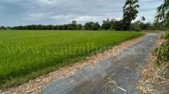 ที่ดิน 9-3-99.5 ไร่ ดอนโพธิ์ - สุพรรณบุรี มีผู้เช่า ราคาถูก