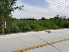 ขายที่ดินหนองตำลึงชลบุรี ที่ดินหนองตำลึง 6 ไร่ติดถนนคอนกรีต 