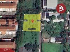 ขายที่ดิน เนื้อที่ 2 งาน 22 ตร.วา บางเขน กรุงเทพมหานคร-202512130931331765593093328.jpg