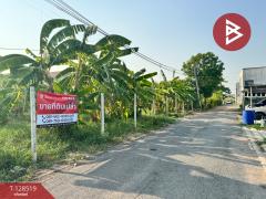 ขายที่ดิน เนื้อที่ 2 งาน 22 ตร.วา บางเขน กรุงเทพมหานคร-202512130931331765593093913.jpg