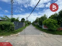 ขายที่ดิน เนื้อที่ 2 งาน 22 ตร.วา บางเขน กรุงเทพมหานคร-202512130931351765593095048.jpg