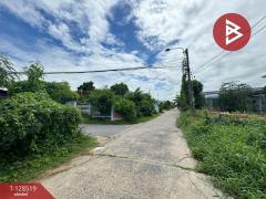 ขายที่ดิน เนื้อที่ 2 งาน 22 ตร.วา บางเขน กรุงเทพมหานคร-202512130931351765593095649.jpg