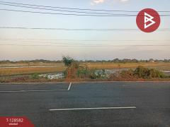 ขายที่ดิน เนื้อที่ 18 ไร่ ท่าวุ้ง ลพบุรี-202512130947431765594063534.jpg