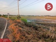 ขายที่ดิน เนื้อที่ 18 ไร่ ท่าวุ้ง ลพบุรี-202512130947441765594064081.jpg