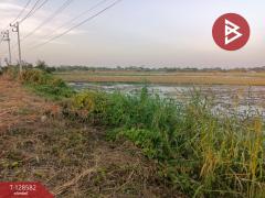 ขายที่ดิน เนื้อที่ 18 ไร่ ท่าวุ้ง ลพบุรี-202512130947451765594065314.jpg