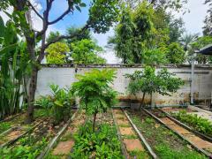 บ้านเช่าเลียบด่วร-รามอินทรา 200 ตารางวา 3 นอน 4ห้องน้ำ จอดรถได้ 7 คันเฟอร์ครบครัน รับต่างชาติ รับหมาแมว คุยกันได้ >//-202512131207531765602473806.jpg