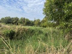 ขายที่ดิน 1 ไร่ 378 ตร.ว. ติดแม่น้ำนครนายก ขายยกแปลงพร้อมโอน 9 แสน 9 หมื่นบาท-202512131303481765605828806.jpg