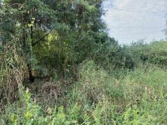 ขายที่ดิน 1 ไร่ 378 ตร.ว. ติดแม่น้ำนครนายก ขายยกแปลงพร้อมโอน 9 แสน 9 หมื่นบาท-202512131303501765605830288.jpg