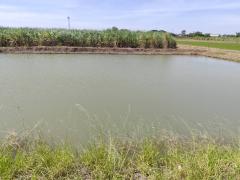 ขายที่ดินเปล่า แปลง 1-9 ไร่แปลงสวย อากาศดี มีบ่อน้ำใส แบ่งได้ ที่ใกล้หอพัก นกฮูกเก้า ม. เกษตร กำแพงแสน นครปฐม