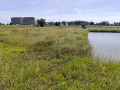 ขายที่ดินเปล่า แปลง 1-9 ไร่แปลงสวย อากาศดี มีบ่อน้ำใส แบ่งได้ ที่ใกล้หอพัก นกฮูกเก้า ม. เกษตร กำแพงแสน นครปฐม-202512131358451765609125225.jpg