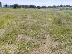 ขายที่ดินเปล่า แปลง 1-9 ไร่แปลงสวย อากาศดี มีบ่อน้ำใส แบ่งได้ ที่ใกล้หอพัก นกฮูกเก้า ม. เกษตร กำแพงแสน นครปฐม-202512131358571765609137294.jpg