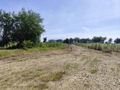 ขายที่ดินเปล่า แปลง 1-9 ไร่แปลงสวย อากาศดี มีบ่อน้ำใส แบ่งได้ ที่ใกล้หอพัก นกฮูกเก้า ม. เกษตร กำแพงแสน นครปฐม-202512131359221765609162448.jpg