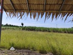 Sale large land 9.3 Rais suitable for projects or building house etc, can be subdivided Kamphaeng Saen District, Nakhon Pathom Province near Bangkok-202512131401031765609263938.jpg