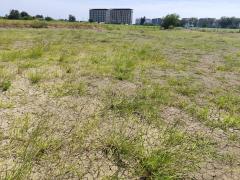 Sale large land 9.3 Rais suitable for projects or building house etc, can be subdivided Kamphaeng Saen District, Nakhon Pathom Province near Bangkok-202512131401091765609269447.jpg