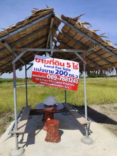 Sale large land 9.3 Rais suitable for projects or building house etc, can be subdivided Kamphaeng Saen District, Nakhon Pathom Province near Bangkok-202512131402001765609320474.jpg