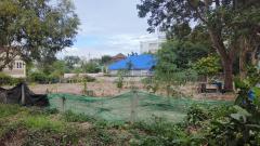 ขายถูก ที่ดินแปลงเล็ก หาดสุขเสมอ ชะอำ-202512131616311765617391265.jpg