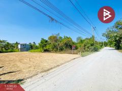 ขายที่ดิน เนื้อที่ 1 งาน 33 ตารางวา นครชัยศรี นครปฐม-202512131630101765618210363.jpg