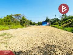 ขายที่ดิน เนื้อที่ 1 งาน 33 ตารางวา นครชัยศรี นครปฐม-202512131630101765618210933.jpg