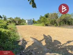 ขายที่ดิน เนื้อที่ 1 งาน 33 ตารางวา นครชัยศรี นครปฐม-202512131630111765618211490.jpg