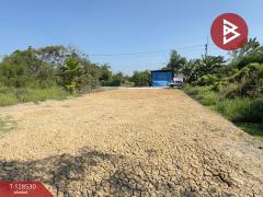 ขายที่ดิน เนื้อที่ 1 งาน 33 ตารางวา นครชัยศรี นครปฐม-202512131630121765618212039.jpg