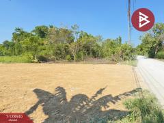 ขายที่ดิน เนื้อที่ 1 งาน 33 ตารางวา นครชัยศรี นครปฐม-202512131630121765618212594.jpg