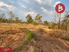 ขายที่ดินเปล่า เนื้อที่ 14 ไร่ 3 งาน 20 ตารางวา สามพร้าว อุดรธานี-202512131635221765618522379.jpg