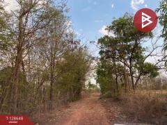 ขายที่ดินเปล่า เนื้อที่ 14 ไร่ 3 งาน 20 ตารางวา สามพร้าว อุดรธานี-202512131635221765618522929.jpg