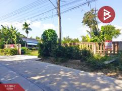 ขายที่ดิน เนื้อที่ 2 งาน 1 ตารางวา แปลงยาว ฉะเชิงเทรา-202512131648181765619298407.jpg