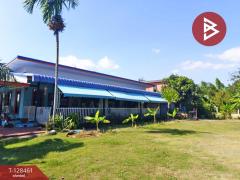 ขายที่ดิน เนื้อที่ 2 งาน 1 ตารางวา แปลงยาว ฉะเชิงเทรา-202512131648181765619298955.jpg