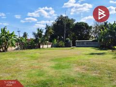 ขายที่ดิน เนื้อที่ 2 งาน 1 ตารางวา แปลงยาว ฉะเชิงเทรา-202512131648201765619300072.jpg