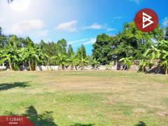 ขายที่ดิน เนื้อที่ 2 งาน 1 ตารางวา แปลงยาว ฉะเชิงเทรา-202512131648201765619300634.jpg