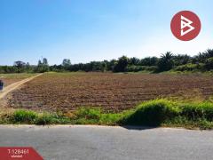 ขายที่ดิน เนื้อที่ 2 งาน 1 ตารางวา แปลงยาว ฉะเชิงเทรา-202512131648211765619301184.jpg