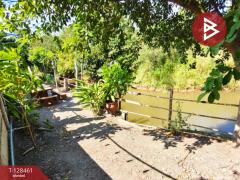 ขายที่ดิน เนื้อที่ 2 งาน 1 ตารางวา แปลงยาว ฉะเชิงเทรา-202512131648221765619302324.jpg