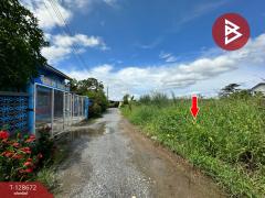 ขายที่ดิน เนื้อที่ 80 ตร.วา ซ.เลียบวารี 49 หนองจอก กรุงเทพมหานคร