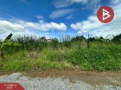 ขายที่ดิน เนื้อที่ 80 ตร.วา ซ.เลียบวารี 49 หนองจอก กรุงเทพมหานคร-202512131701251765620085736.jpg