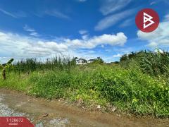 ขายที่ดิน เนื้อที่ 80 ตร.วา ซ.เลียบวารี 49 หนองจอก กรุงเทพมหานคร-202512131701261765620086291.jpg