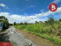 ขายที่ดิน เนื้อที่ 80 ตร.วา ซ.เลียบวารี 49 หนองจอก กรุงเทพมหานคร-202512131701261765620086868.jpg