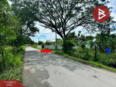 ขายที่ดิน เนื้อที่ 80 ตร.วา ซ.เลียบวารี 49 หนองจอก กรุงเทพมหานคร-202512131701271765620087431.jpg