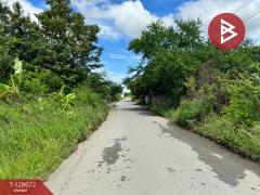 ขายที่ดิน เนื้อที่ 80 ตร.วา ซ.เลียบวารี 49 หนองจอก กรุงเทพมหานคร-202512131701271765620087990.jpg