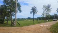 ขายด่วน ที่ดินในโครงการจัดสรร พื้นที่แหล่งท่องเที่ยว-202512131712541765620774541.jpg