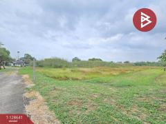 ขายที่ดิน เนื้อที่ 4 ไร่ 62 ตร.วา บางคล้า ฉะเชิงเทรา-202512131727491765621669830.jpg