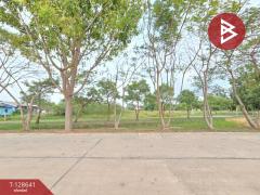 ขายที่ดิน เนื้อที่ 4 ไร่ 62 ตร.วา บางคล้า ฉะเชิงเทรา-202512131727501765621670426.jpg