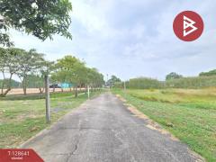 ขายที่ดิน เนื้อที่ 4 ไร่ 62 ตร.วา บางคล้า ฉะเชิงเทรา-202512131727501765621670999.jpg