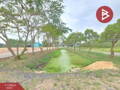 ขายที่ดิน เนื้อที่ 4 ไร่ 62 ตร.วา บางคล้า ฉะเชิงเทรา-202512131727511765621671553.jpg