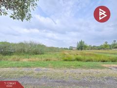 ขายที่ดิน เนื้อที่ 4 ไร่ 62 ตร.วา บางคล้า ฉะเชิงเทรา-202512131727521765621672111.jpg