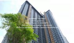 Condominium Plum Condo Central Station Phase 1 พท. 46 square meter 2 BR 15000 บ. ใกล้ เซ็นทรัล เวสต์เกต ราคาสุดคุ้ม