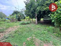 ขายที่ดิน เนื้อที่ 1 ไร่ บางละมุง ชลบุรี