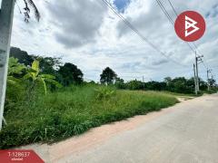 ขายที่ดิน เนื้อที่ 1 ไร่ บางละมุง ชลบุรี-202512141138161765687096895.jpg