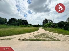 ขายที่ดิน เนื้อที่ 1 ไร่ บางละมุง ชลบุรี-202512141138171765687097902.jpg